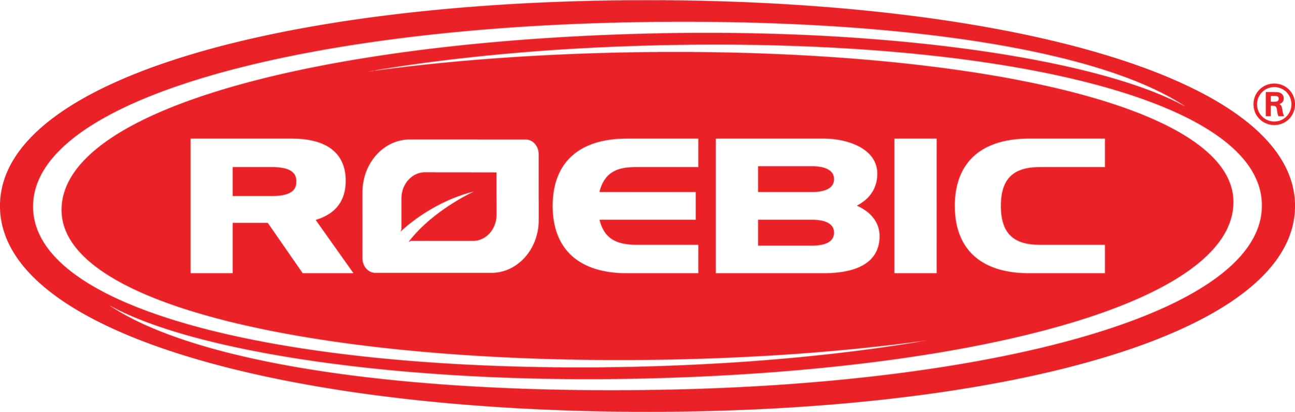 Roebics